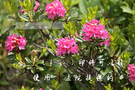 復(fù)印件可以作為訴訟證據(jù)使用嗎(法院提供的證據(jù)可以復(fù)印出來(lái)嗎)
