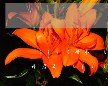 復(fù)婚不領(lǐng)證離婚不(離婚后又復(fù)合但不領(lǐng)證)