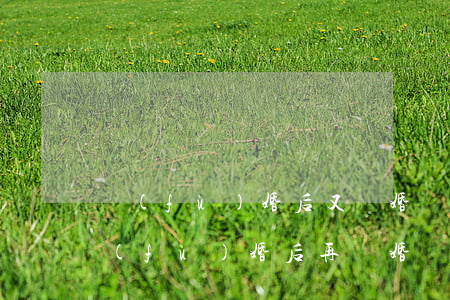 復(fù)婚后又離婚離婚起訴狀怎么寫(復(fù)婚后再離婚協(xié)議書怎么寫)