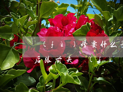 復(fù)婚要什么手續(xù)(二婚離婚后跟前夫復(fù)婚要什么手續(xù))