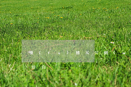 復(fù)賭又欠網(wǎng)貸該如何坦白