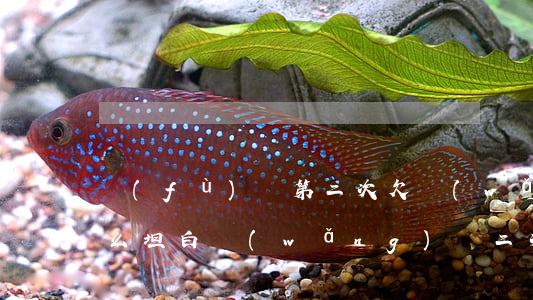 復(fù)賭第二次欠網(wǎng)貸怎么坦白(網(wǎng)賭二次坦白還有救嗎)