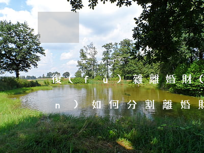 復(fù)雜離婚財(cái)產(chǎn)如何分割(離婚財(cái)產(chǎn)要怎么分)