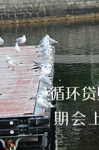 循环贷账户一有逾期明细找不到-循环贷逾期会上好几次征信吗