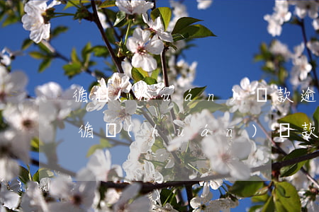 循環(huán)貸款逾期怎么辦理信用卡(循環(huán)貸款還不上怎么辦)