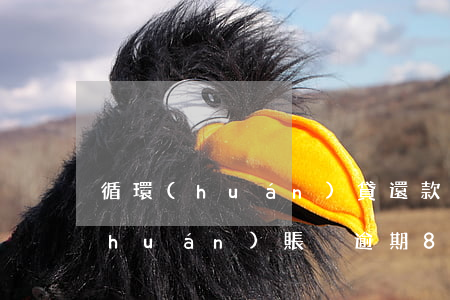 循環(huán)貸還款算逾期嗎(非循環(huán)賬戶逾期8次會影響貸款嗎)