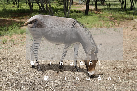 循環(huán)貸還進(jìn)去出不來（循環(huán)貸款還不起）