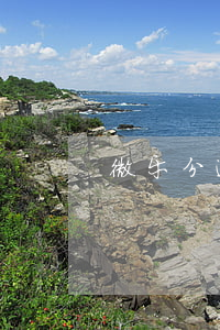 微乐分逾期4天上征信不(微乐分查不查征信)