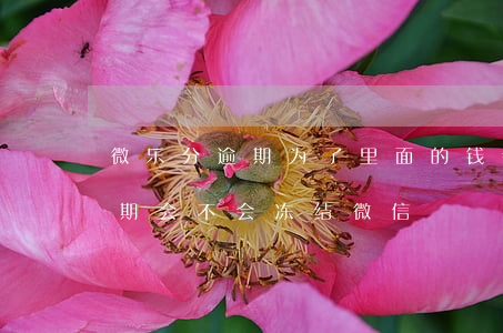 微乐分逾期为了里面的钱会冻结-微乐分逾期会不会冻结微信