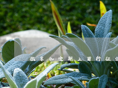 微享加逾期上百行征信了(微享加逾期上百行征信了)