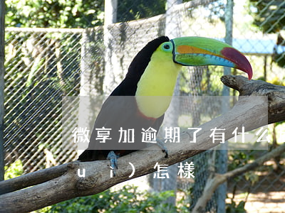 微享加逾期了有什么后果?（v享加逾期會(huì)怎樣）