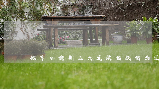 微享加逾期五天：连续借款，仍未还款