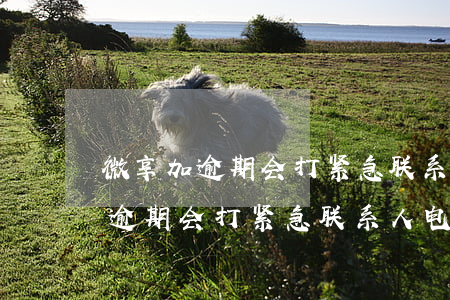 微享加逾期会打紧急联系人电话吗-微享加逾期会打紧急联系人电话吗是真的吗