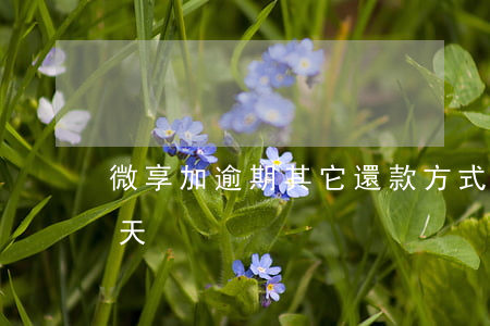 微享加逾期其它還款方式(微享加貸款逾期一天)
