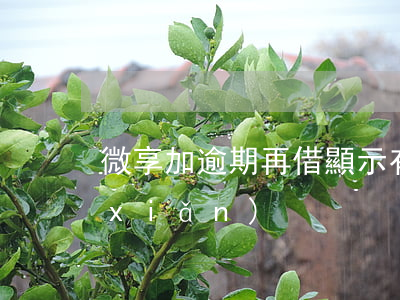 微享加逾期再借顯示有風(fēng)險(xiǎn)
