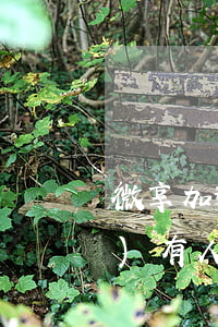 微享加逾期加微信（為什么逾期了會(huì)有人加微信）