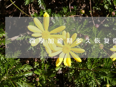 微享加逾期多久恢复(微享加逾期了还能用么)