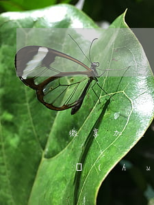 微享加逾期怎么協(xié)商(微享加逾期會(huì)起訴嗎)