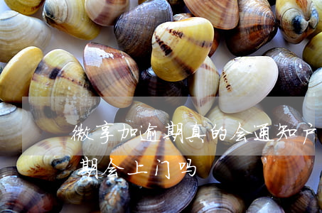 微享加逾期真的会通知户籍地吗-微享加逾期会上门吗