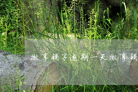 微享铺子逾期一天（微享铺子贷款逾期）