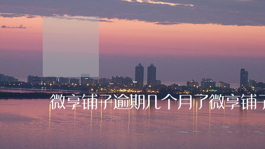 微享铺子逾期几个月了(微享铺子借款风险)