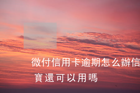 微付信用卡逾期怎么辦(信用卡逾期微信支付寶還可以用嗎)