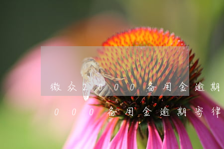 微众2000备用金逾期寄律师函-微众2000备用金逾期寄律师函是真的吗