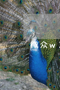 微众w2000逾期了会怎么样-