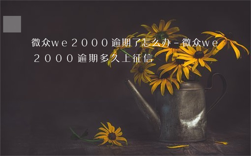 微众we2000逾期了怎么办-微众we2000逾期多久上征信