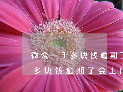 微众一千多块钱逾期了会上门吗-微众一千多块钱逾期了会上门吗是真的吗