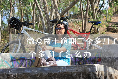 微众两千逾期三个多月了-微众两千逾期三个多月了怎么办