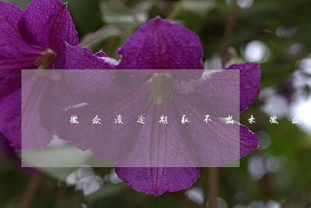 微众没逾期取不出来 微众没逾期取不出来