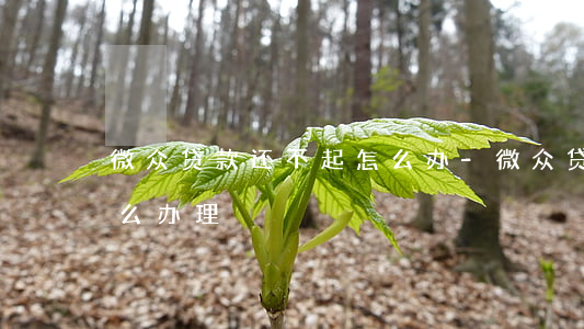 微众贷款还不起怎么办-微众贷款还不起怎么办理