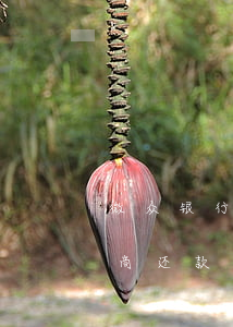 微众银行微粒贷协商还款-微众银行贷款协商还款