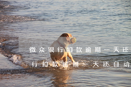 微众银行扣款逾期一天还自动扣吗-微众银行扣款逾期一天还自动扣吗怎么办
