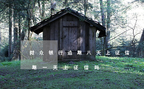 微众银行逾期八天上征信-微众2000逾期一天上征信吗