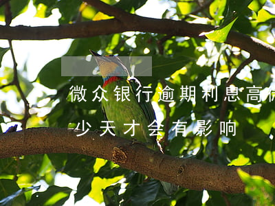 微众银行逾期利息高 微众银行贷款逾期了多少天才会有影响