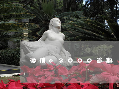 微信e2000逾期時(shí)間哪里看