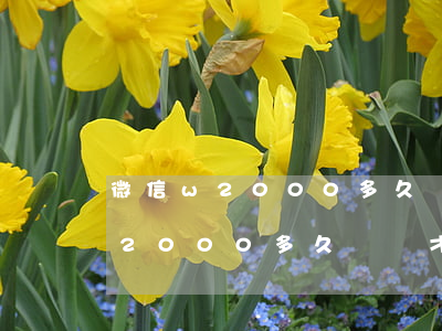 微信w2000多久沒還才算逾期-微信w2000多久沒還才算逾期呢