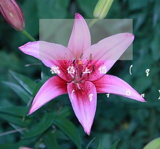 微信上借錢(qián)能起訴嗎(微信上借錢(qián)能起訴嗎是真的嗎)