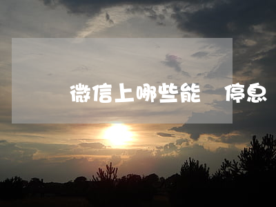 微信上哪些能辦停息掛賬的(怎么可以停息掛賬)