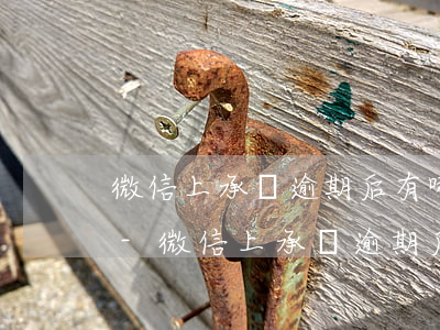 微信上承諾逾期后有哪些法律責(zé)任-微信上承諾逾期后有哪些法律責(zé)任呢
