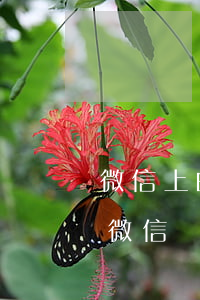 微信上的現(xiàn)金巴士貸款可信不?（微信現(xiàn)金巴士逾期）