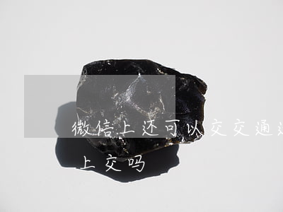 微信上还可以交交通违法吗(违章可以在微信上交吗)
