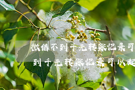 微信不到千元转账记录可以起诉吗-微信不到千元转账记录可以起诉吗安全吗