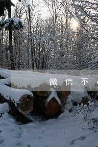 微信不小心逾期几个小时(微信可以逾期几天)