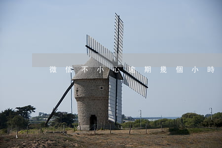 微信不小心逾期幾個小時(微信可以逾期幾天)