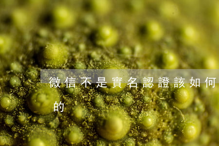 微信不是實名認證該如何起訴(微信不是實名的)