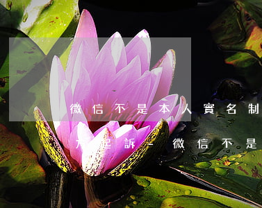 微信不是本人實名制轉(zhuǎn)賬對方起訴-微信不是本人實名制轉(zhuǎn)賬對方起訴怎么辦