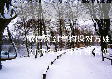 微信买到病狗没对方姓名怎么起诉-微信买到病狗没对方姓名怎么起诉他